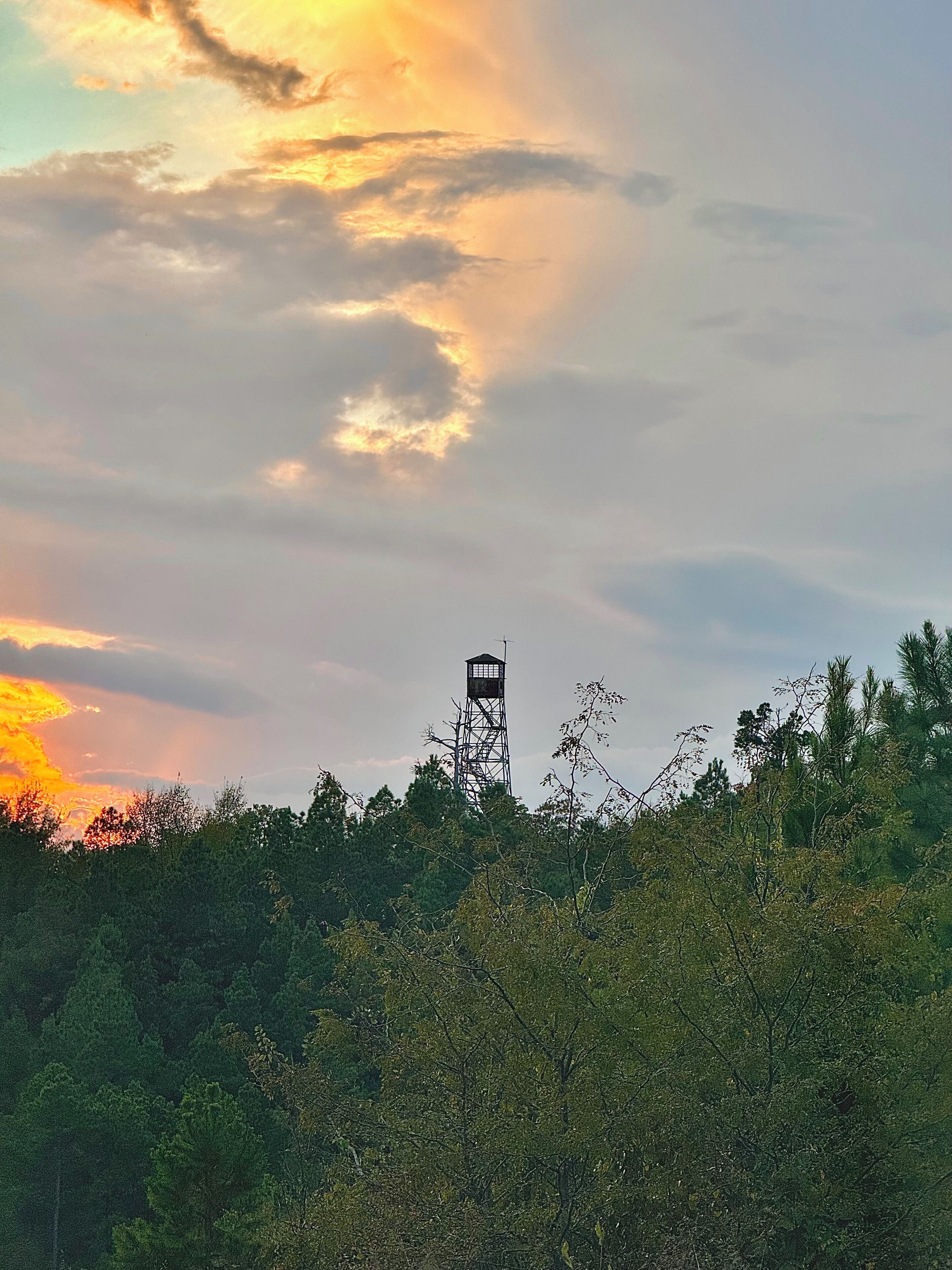 Ein Turm inmitten dichtem Grün mit Sonnenuntergang im Hintergrund.