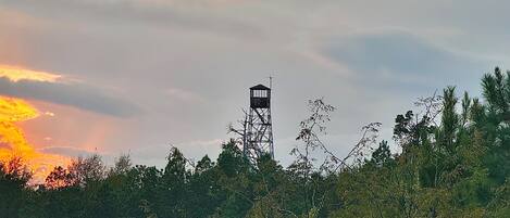 Ein Turm inmitten dichtem Grün mit Sonnenuntergang im Hintergrund.