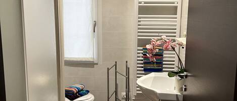 Dusche, Bidet, HandtĂŒcher, Shampoo