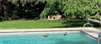 Gite la source de neuvon