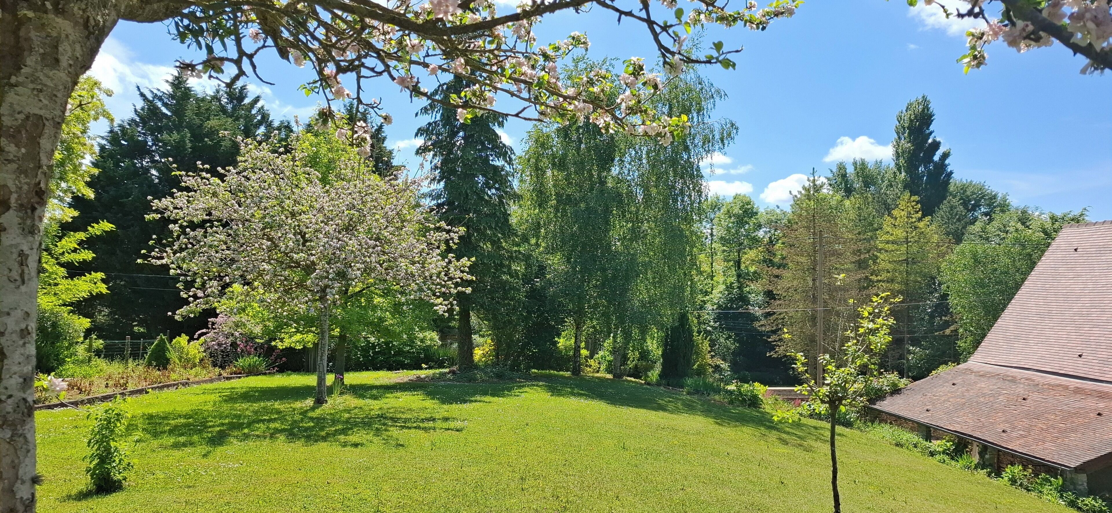 Terrein van de accommodatie