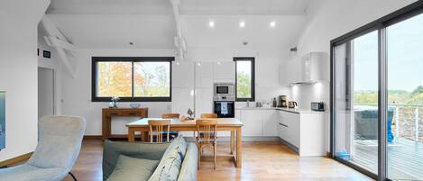 TV, fireplace, DVD player, ping pong