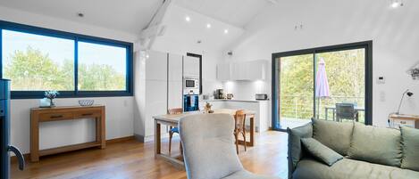 电视、壁炉、DVD 播放器、乒乓球