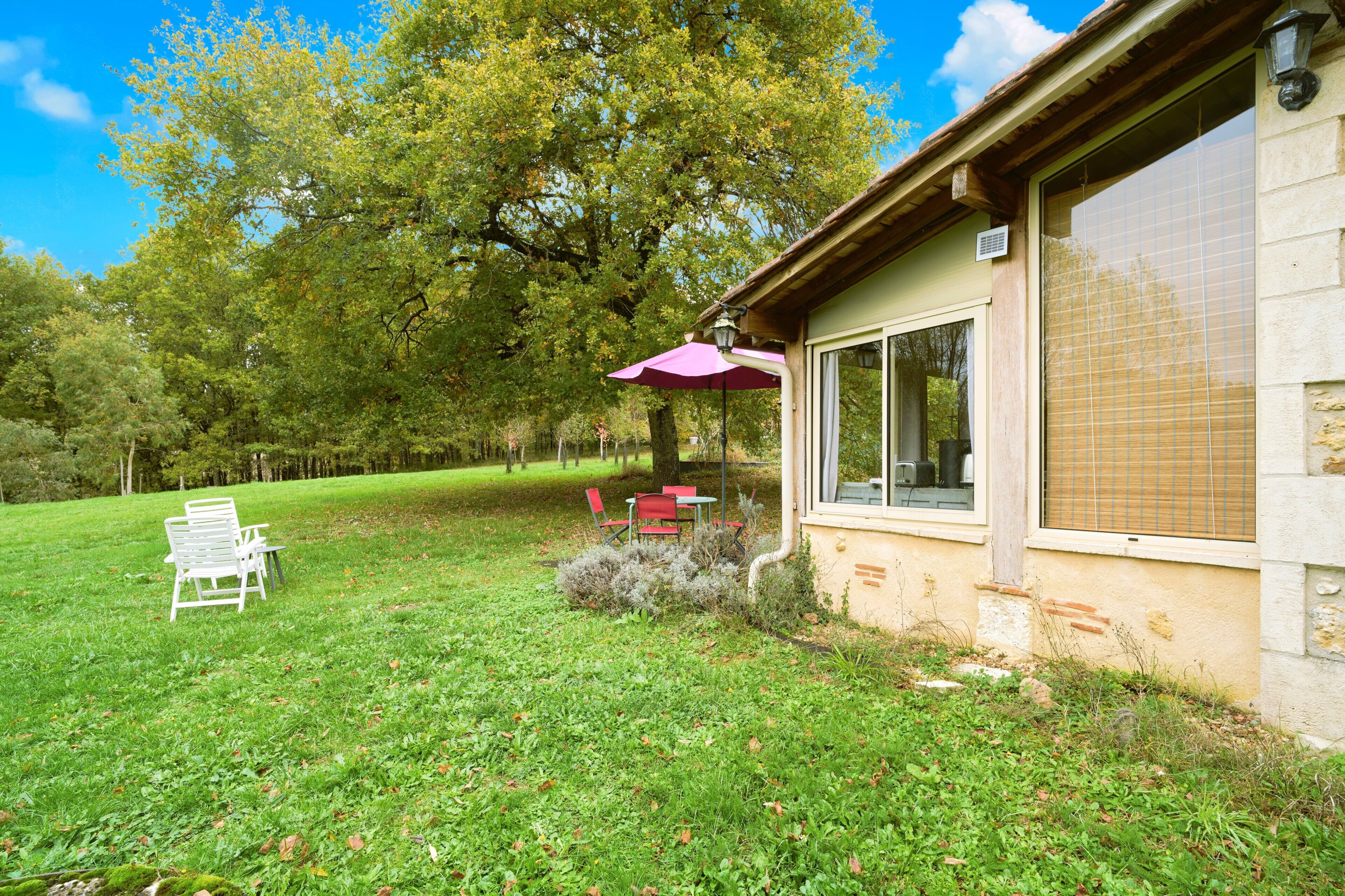 A house with a patio, a table, chairs, and a large tree in the background.