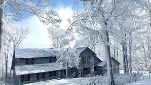 En tvåvånings timmerstuga med ett sluttande tak, omgiven av snötäckta träd och en klar himmel.