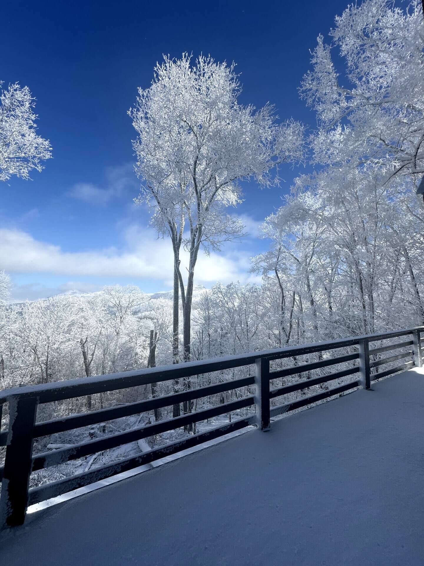 Vista desde la propiedad