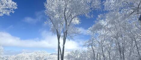 Vista desde la propiedad