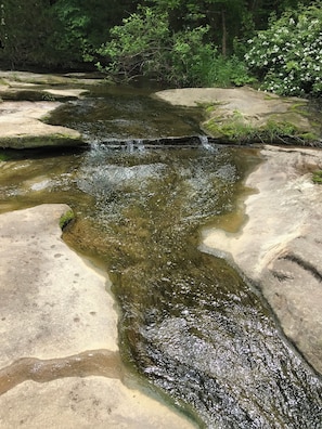 منوع