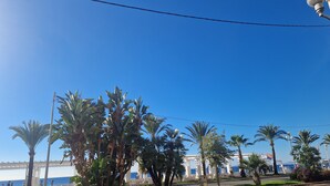 Une promenade en bord de mer bordée de palmiers, un ciel bleu azur et une vue imprenable sur la mer.