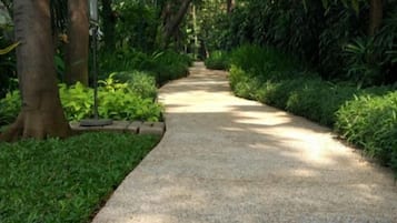 A pathway surrounded by greenery.