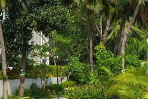 Un jardin luxuriant où poussent de nombreuses plantes et arbres tropicaux.