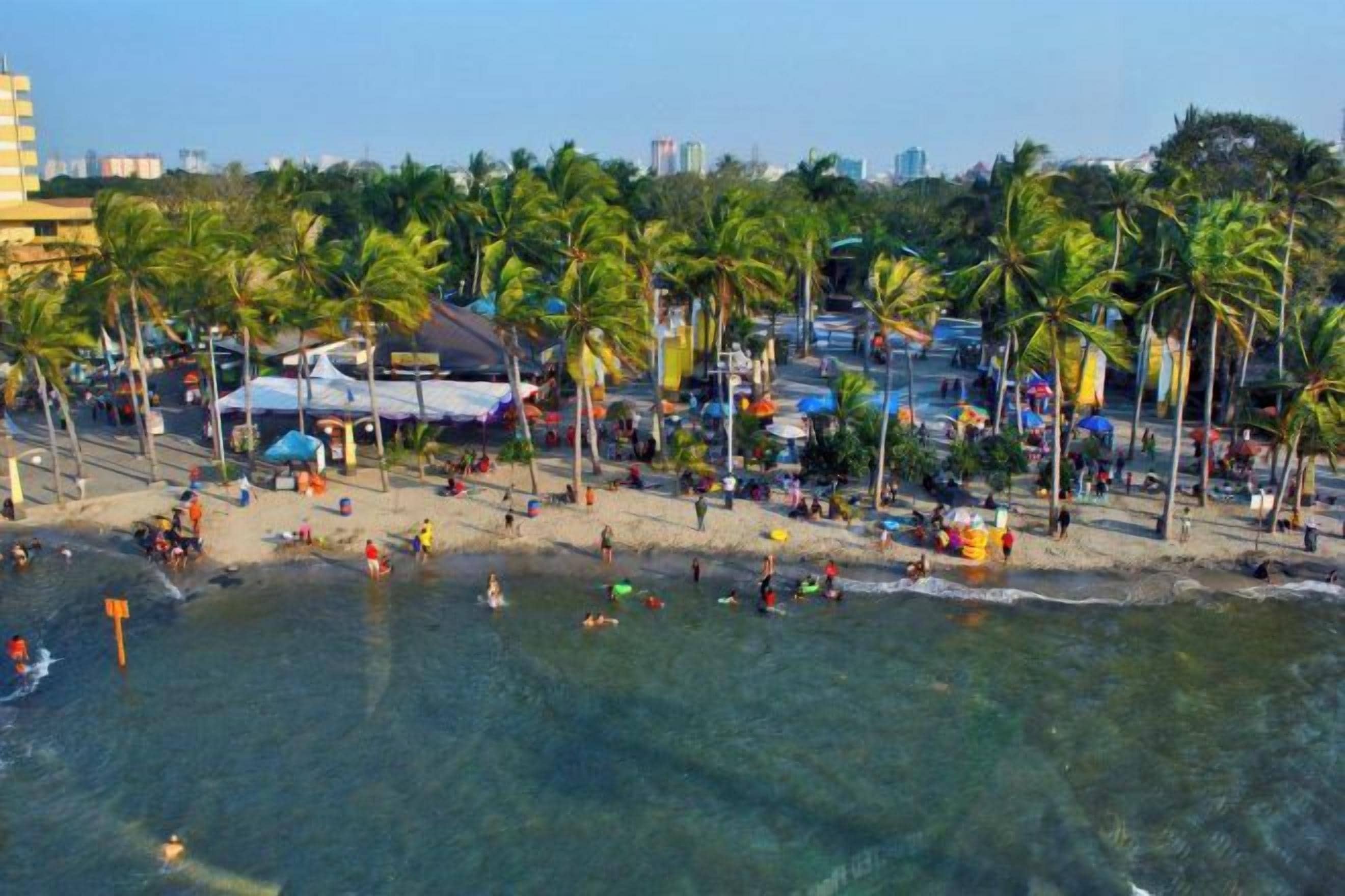 A beach with palm trees, umbrellas, and people.