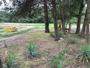 المنطقة المحيطة بالمنشأة