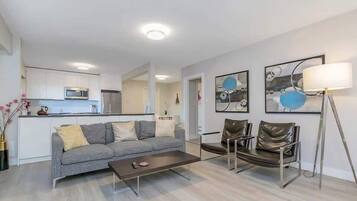 TV, fireplace, DVD player, books