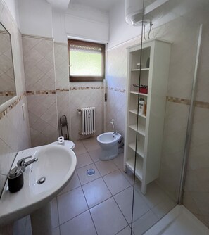Hair dryer, bidet, towels, soap