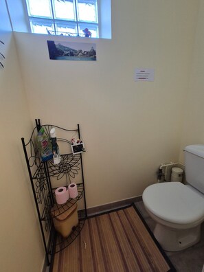 Shower, hair dryer, toilet paper - Gite 15 mn from Beauval zoo (Meusnes)