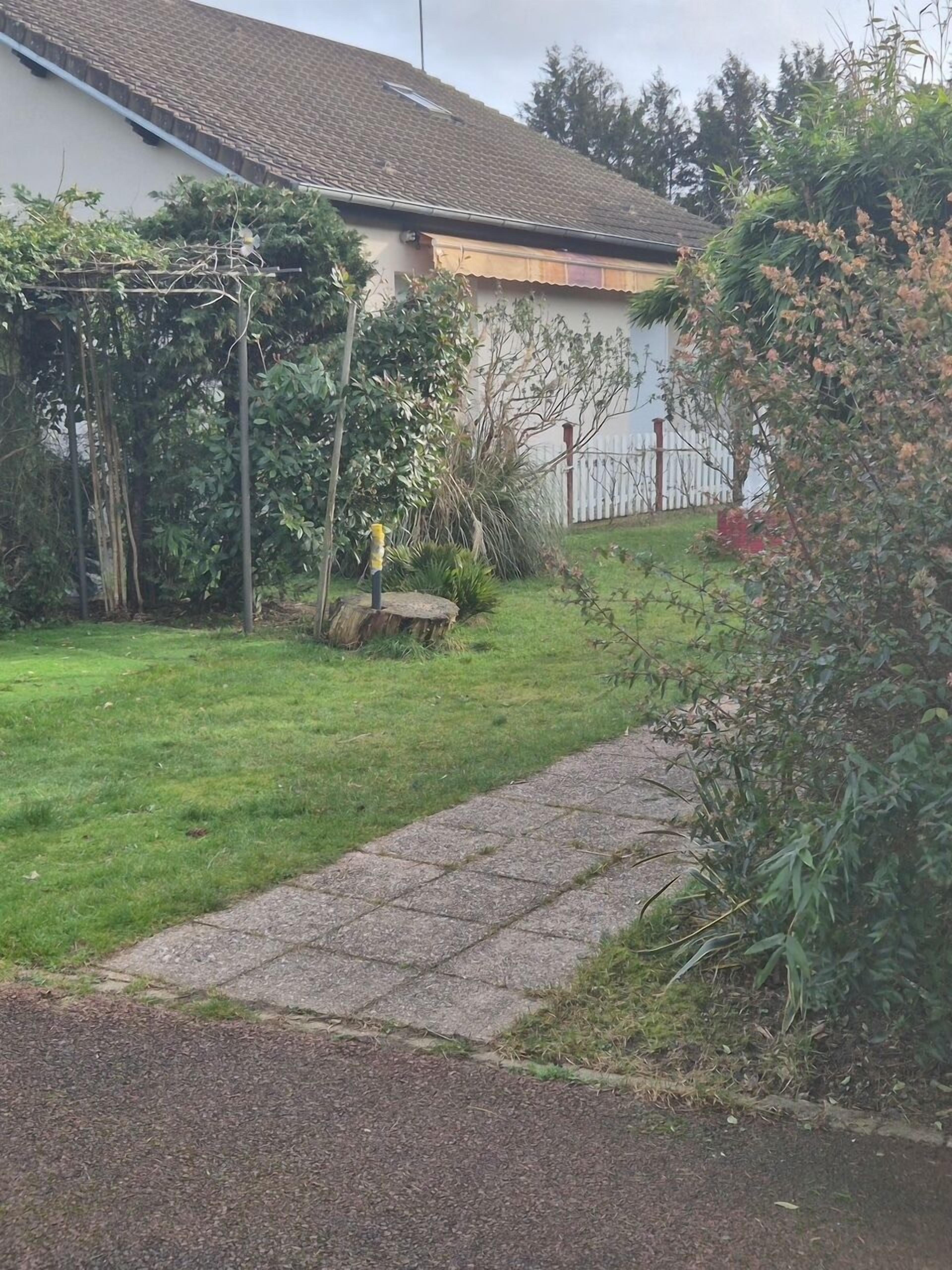 A residential backyard with a paved pathway, a wooden bench, and a variety of plants and trees.