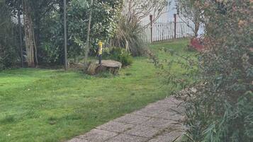 A residential backyard with a paved pathway, a wooden bench, and a variety of plants and trees.