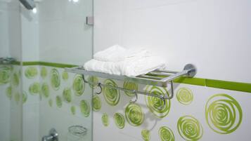 Shower, hair dryer, bidet, towels