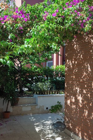 Property grounds - The Bougainvillea tourist lease (Roma)