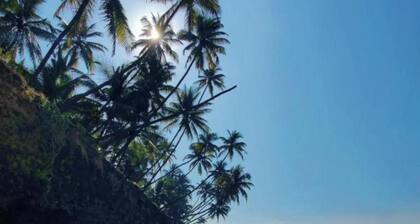 Arabian sea camping Double Room 6