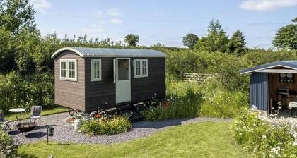 Cynefin, New Quay - One Bedroom Cottage, Sleeps 2