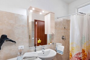 Shower, hair dryer, towels