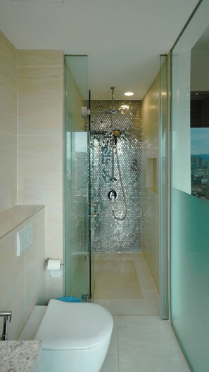 Shower, hair dryer, bidet, towels