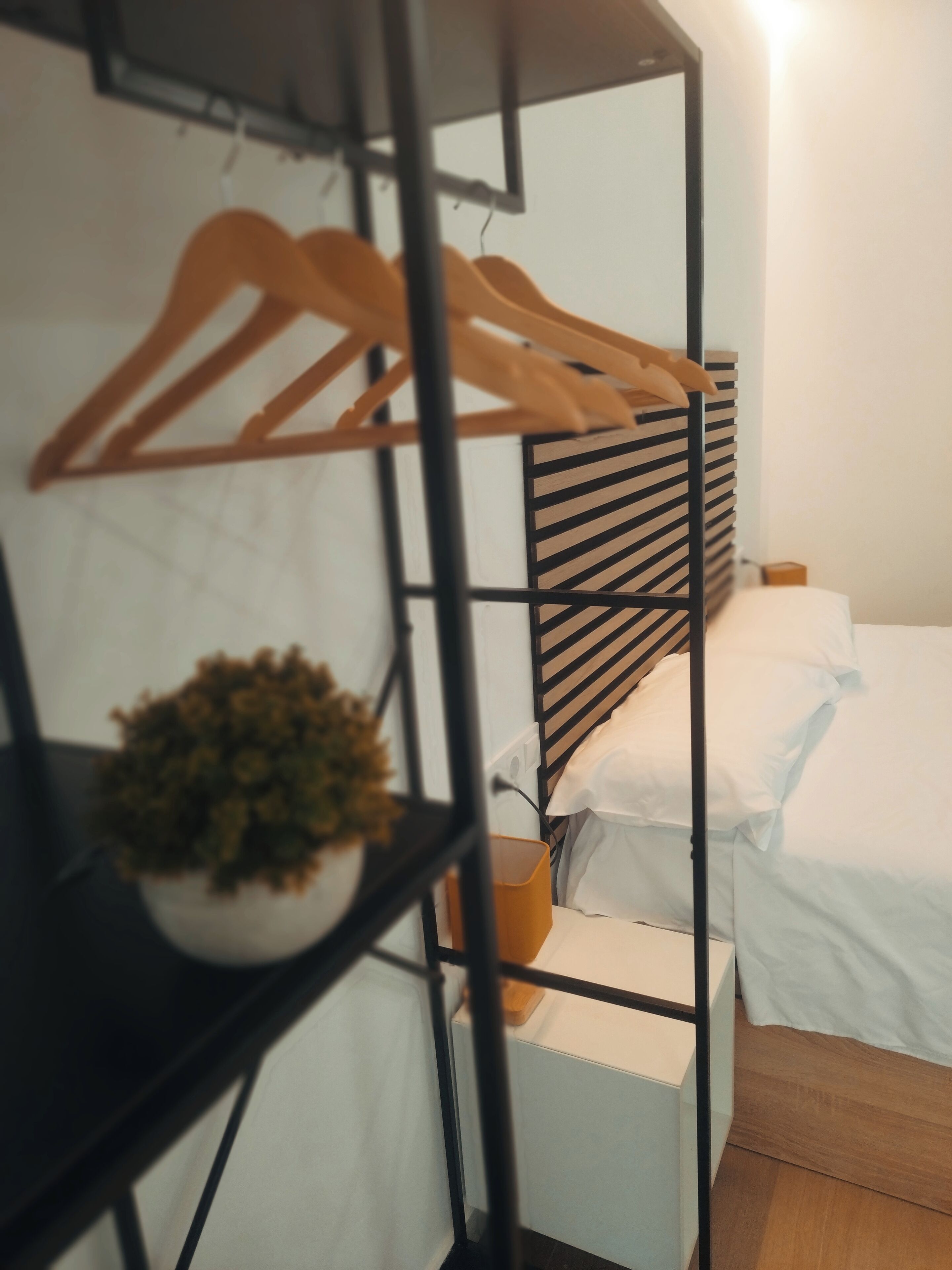 A bunk bed with a wooden frame and a white mattress. There is a small potted plant on a shelf below the bed.