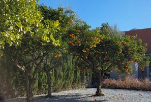 Overnattingsstedets uteområder