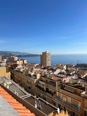 Vista desde la propiedad