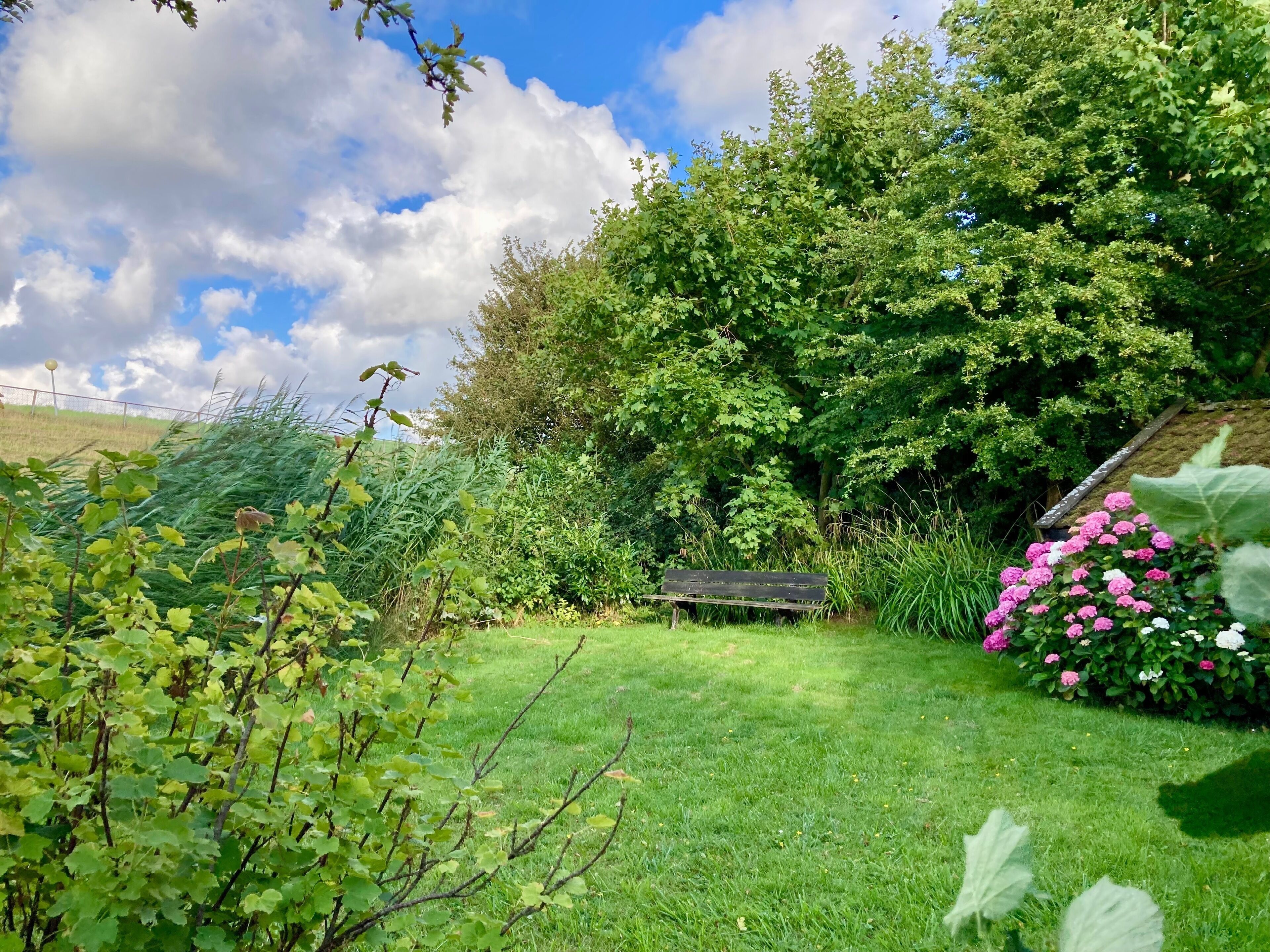 Bungalow, 3 slaapkamers, patio, uitzicht op tuin | Tuin