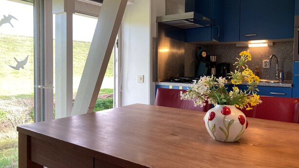 A kitchen with blue cabinets, a stove, and a coffee maker. - 6 Pers - Modern Holiday Home With Garden, Close the Lauwersmeer (Anjum)