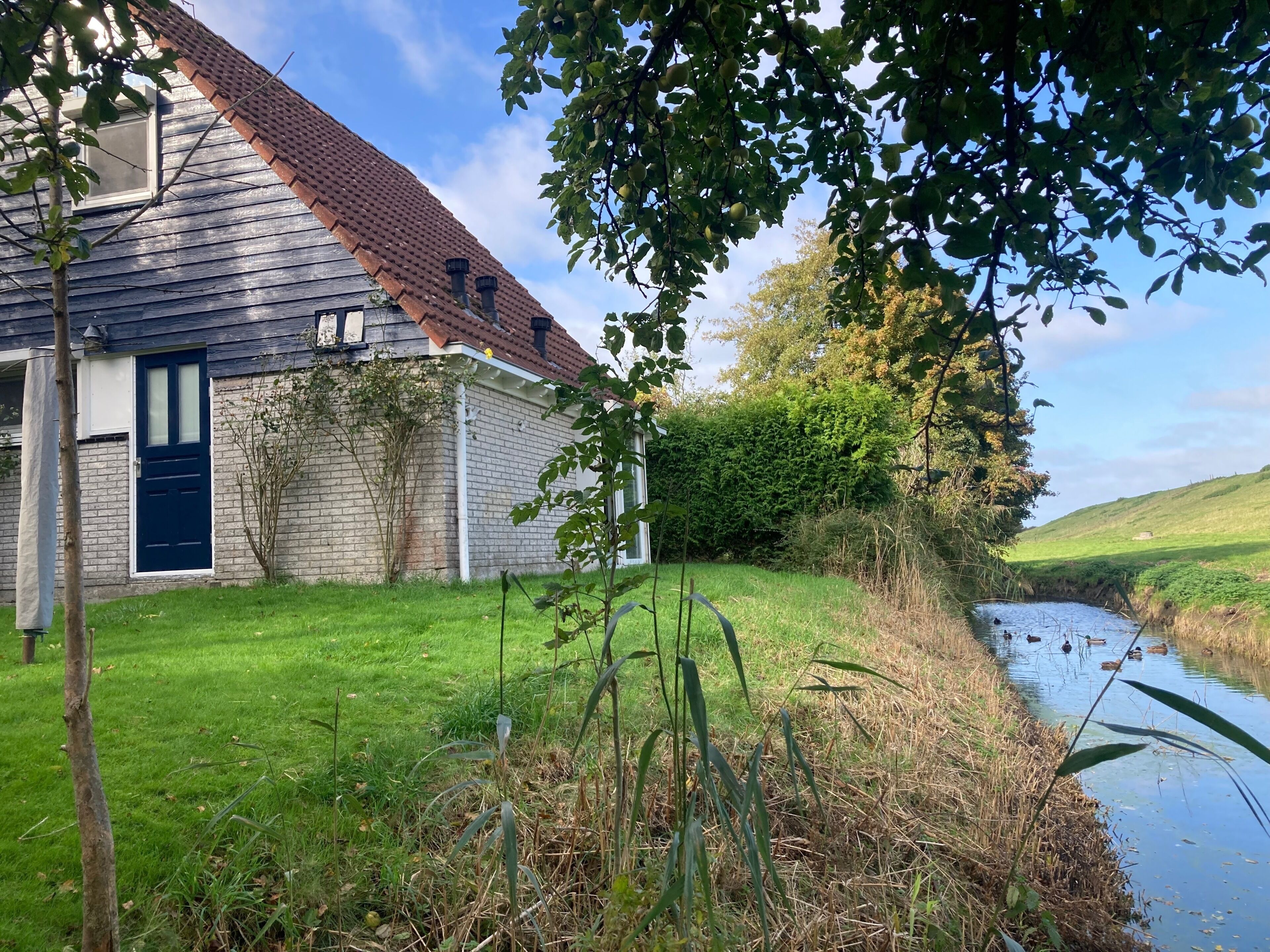 Bungalow, 3 phòng ngủ, sân hiên, quang cảnh vườn | Ngoại thất