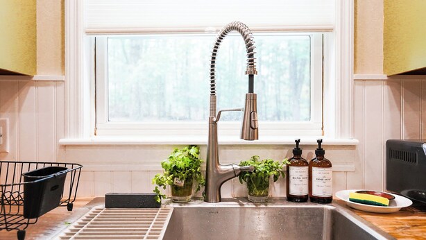 A kitchen with a stainless steel sink, two potted plants, and two bottles of hand soap. - An explorer's escape - 3 bed 2 bath house with AC in Hico (Hico)
