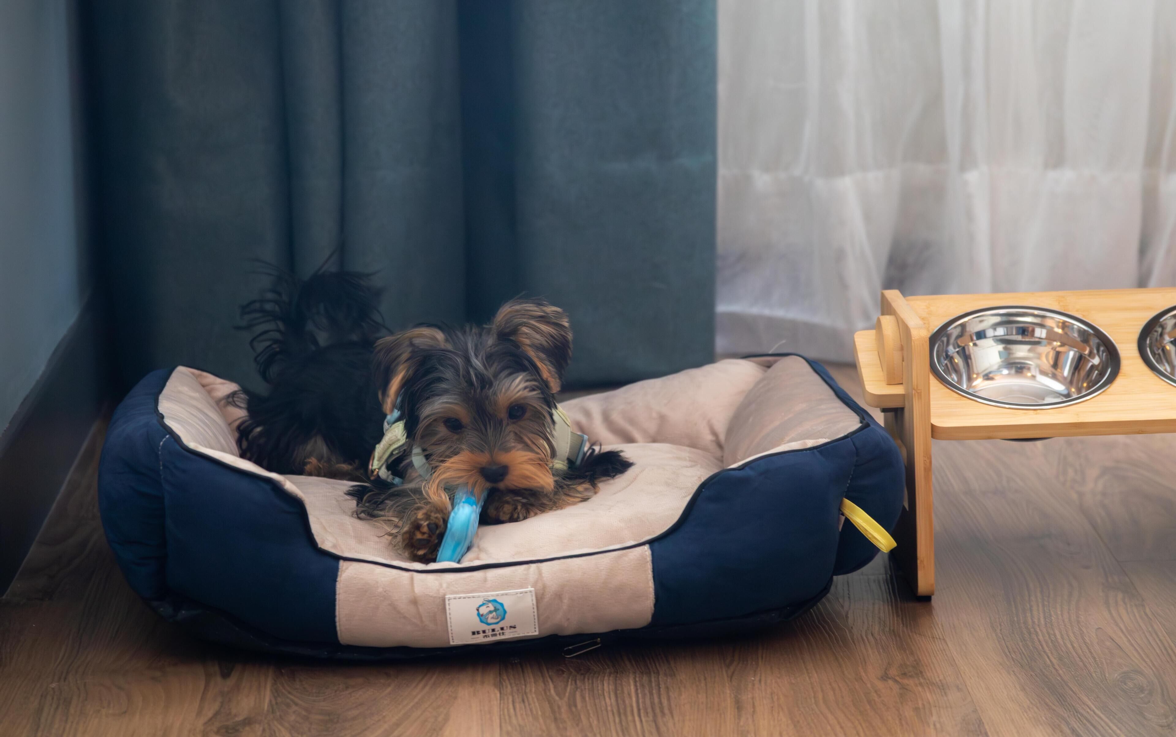 A dog bed with a metal bowl on a wooden table.