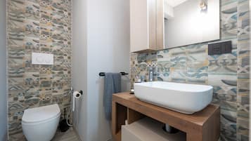 Shower, hair dryer, bidet, towels