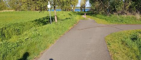 A paved pathway with shadows of people, surrounded by grass and trees.