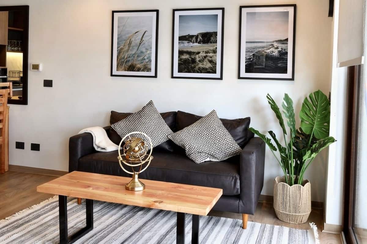A modern living room with a black leather sofa, a wooden coffee table, and a large potted plant.