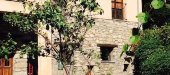 ํธํ
๋ฃจ๋ ์ ํ๋ฅด๋ ๋ธ ์ฝ๋ฐ