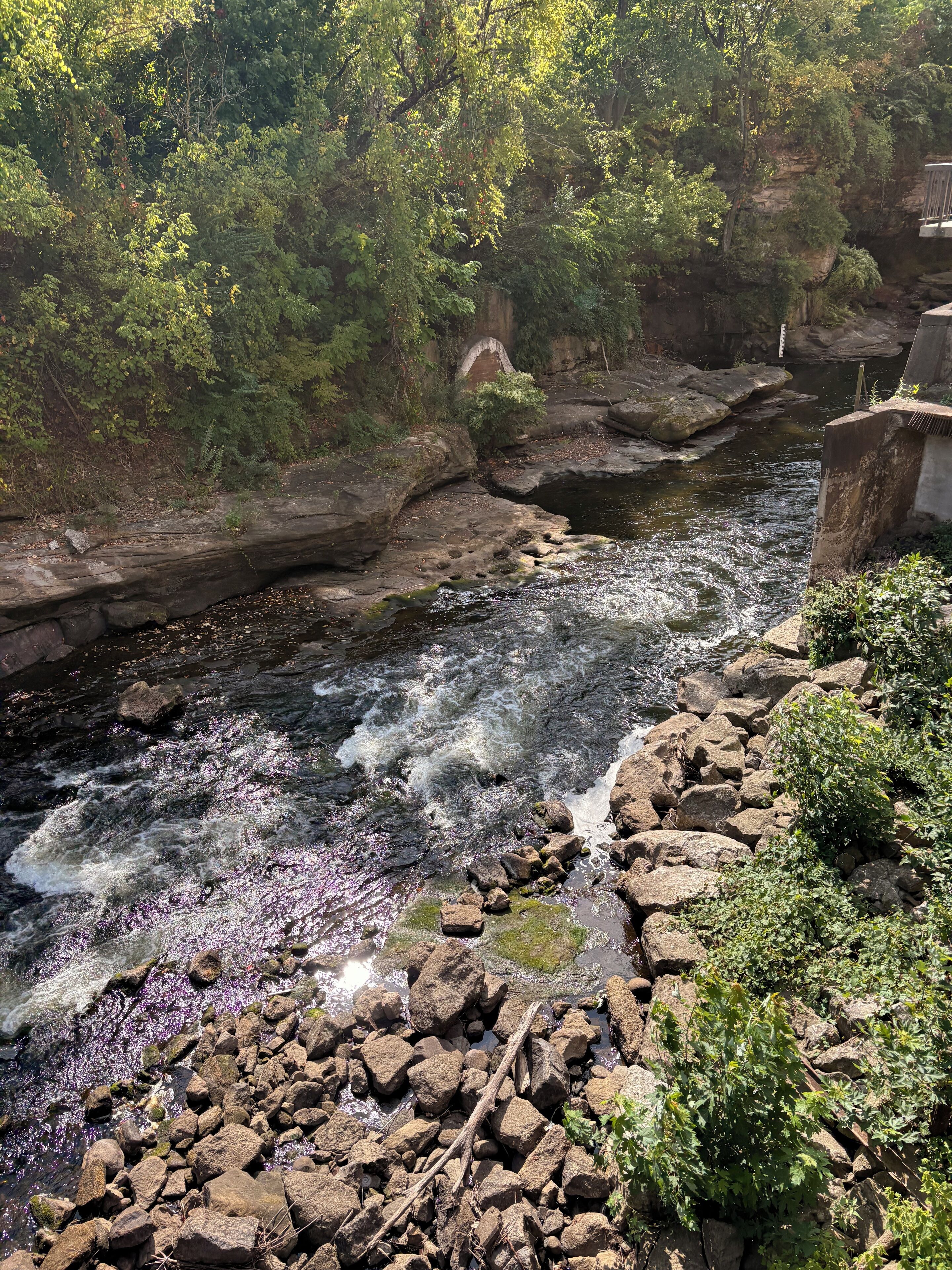 A rocky riverbank with a flowing stream, surrounded by dense greenery and a rocky cliff.