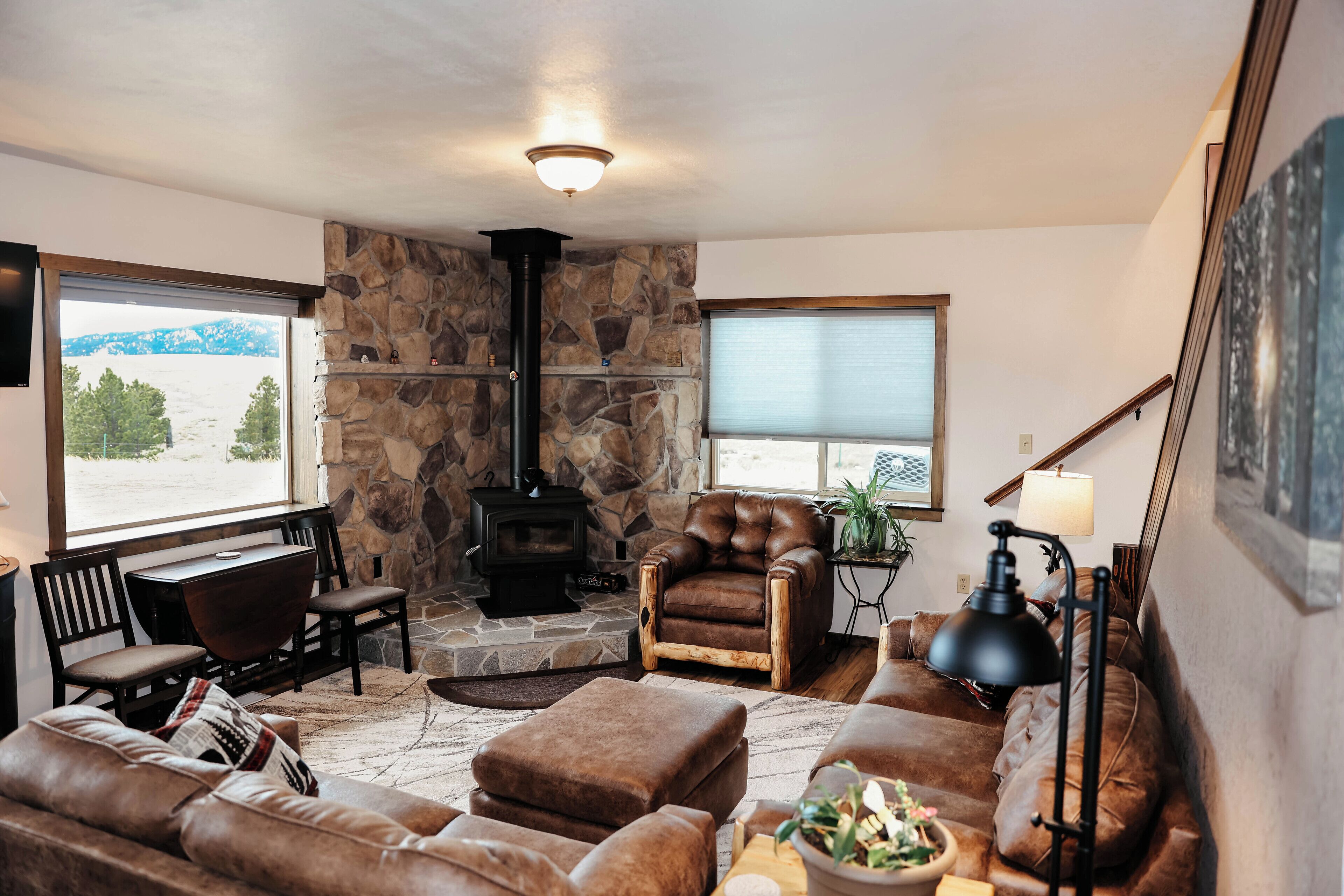 Smart TV, fireplace, DVD player, books