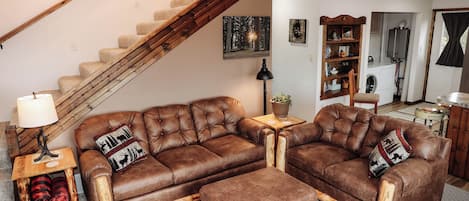Smart TV, fireplace, DVD player, books