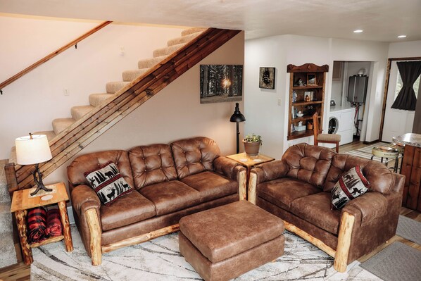 TV connectée, cheminée, lecteur de DVD, livres