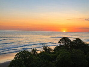 Atardecer sobre el océano con olas y abundante vegetación en primer plano.