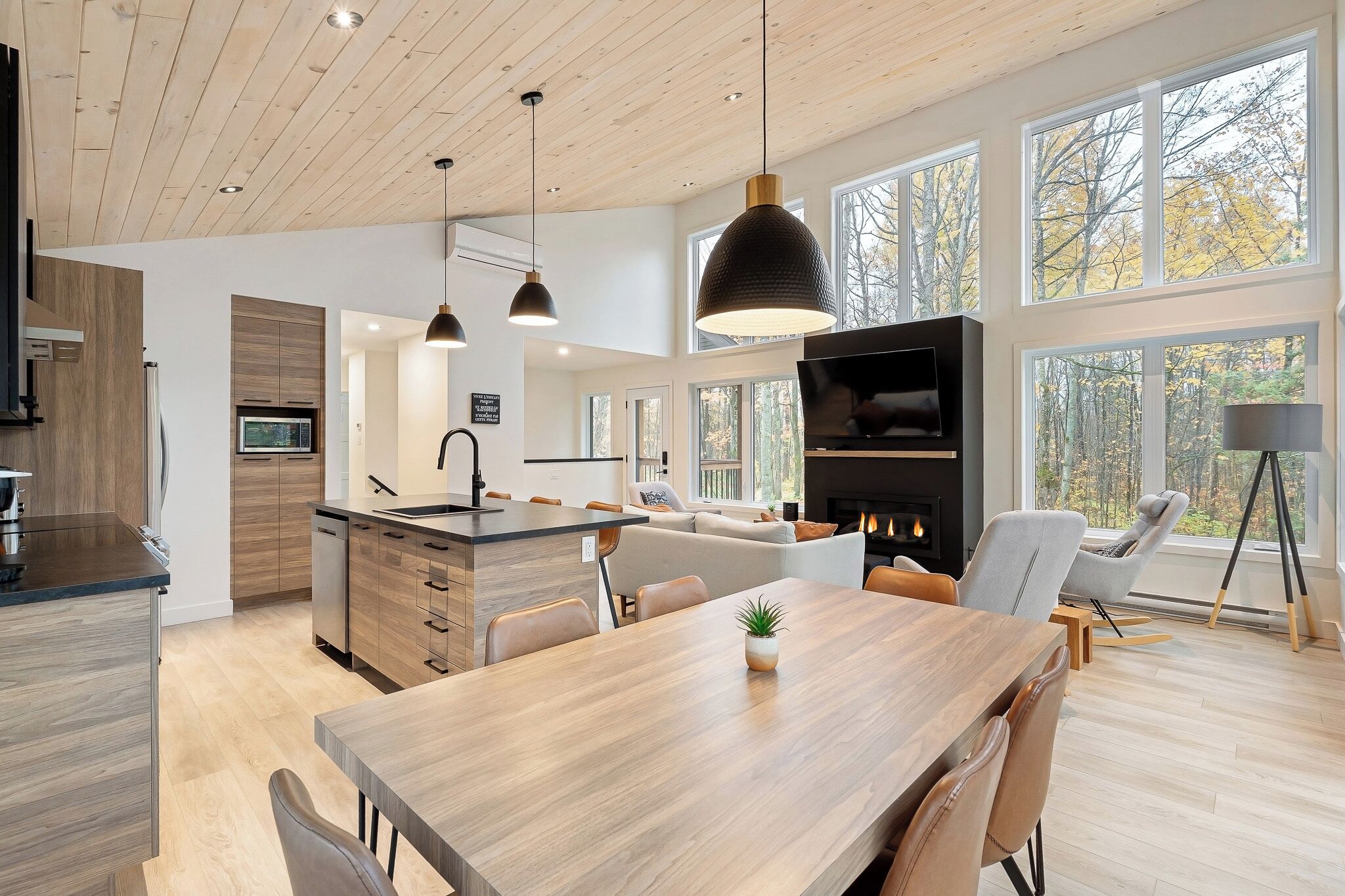 Een magnetron, een kookplaat, een vaatwasser