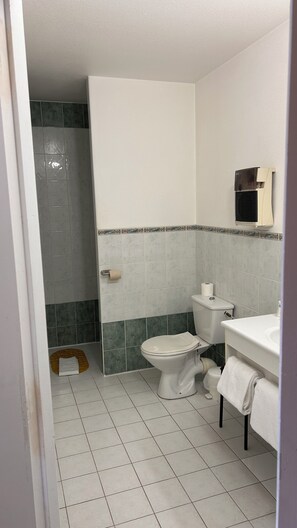 A bathroom with a toilet, sink, and shower area. - Hôtel du Rocher (Le Caylar)