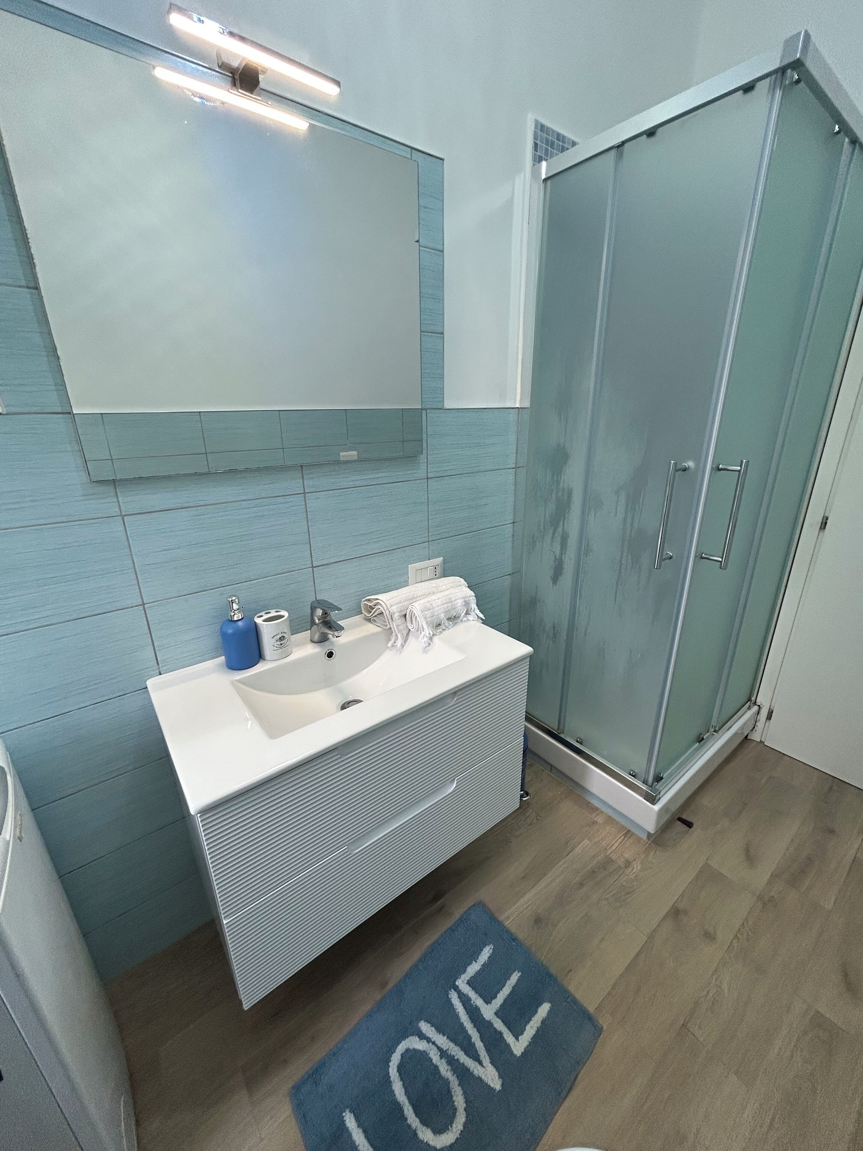 Shower, hair dryer, bidet, towels