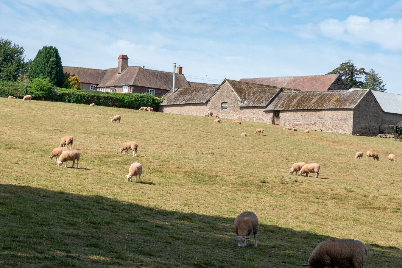 A rural landscape with a stone building and sheep grazing on a hillside.