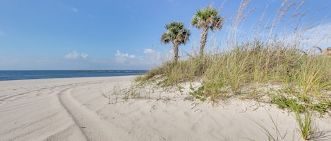 Playa en los alrededores